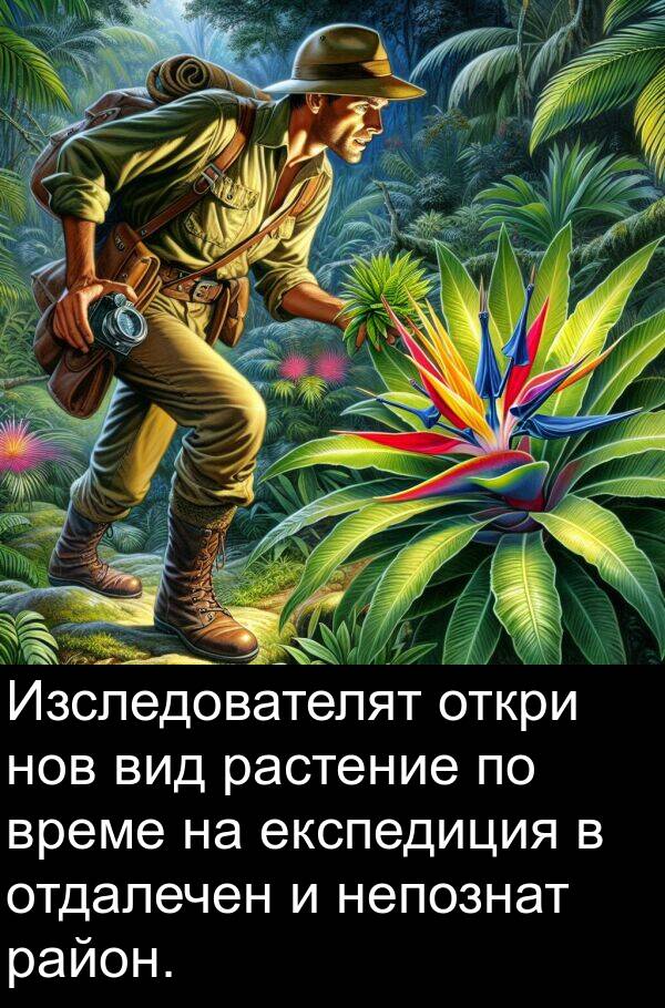 вид: Изследователят откри нов вид растение по време на експедиция в отдалечен и непознат район.