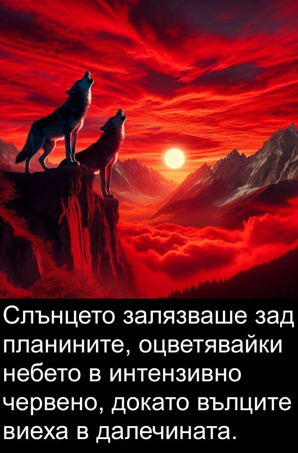 залязваше: Слънцето залязваше зад планините, оцветявайки небето в интензивно червено, докато вълците виеха в далечината.