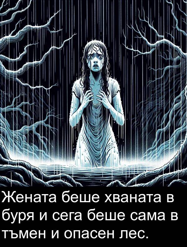 сама: Жената беше хваната в буря и сега беше сама в тъмен и опасен лес.