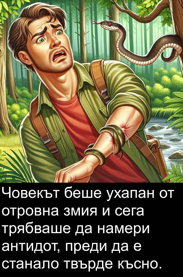 змия: Човекът беше ухапан от отровна змия и сега трябваше да намери антидот, преди да е станало твърде късно.