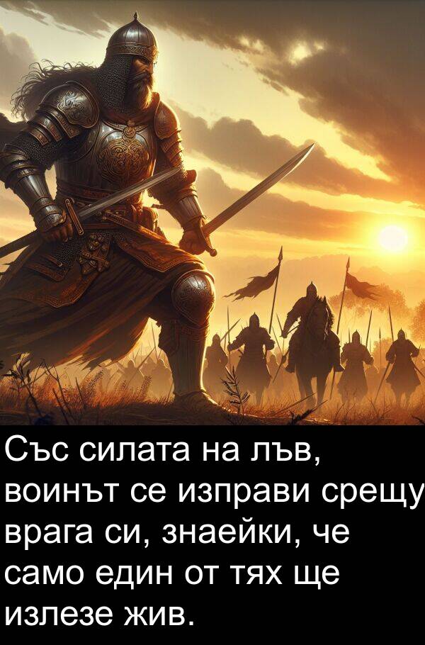 знаейки: Със силата на лъв, воинът се изправи срещу врага си, знаейки, че само един от тях ще излезе жив.