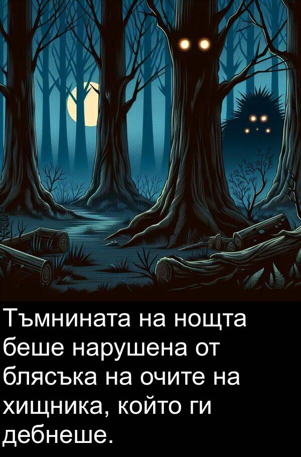 нарушена: Тъмнината на нощта беше нарушена от блясъка на очите на хищника, който ги дебнеше.