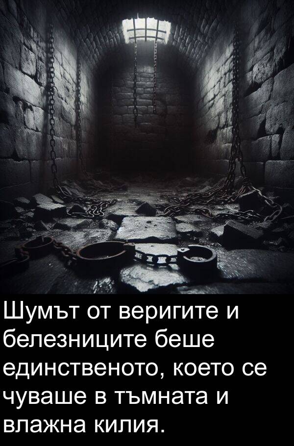 килия: Шумът от веригите и белезниците беше единственото, което се чуваше в тъмната и влажна килия.