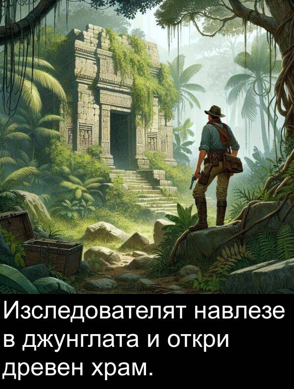 джунглата: Изследователят навлезе в джунглата и откри древен храм.