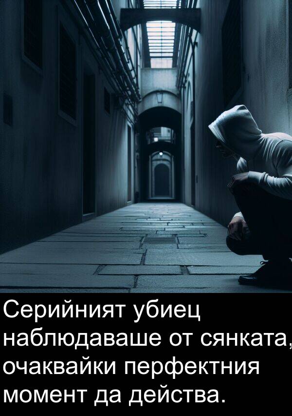 действа: Серийният убиец наблюдаваше от сянката, очаквайки перфектния момент да действа.