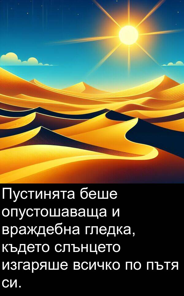 гледка: Пустинята беше опустошаваща и враждебна гледка, където слънцето изгаряше всичко по пътя си.