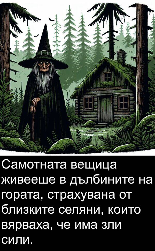 живееше: Самотната вещица живееше в дълбините на гората, страхувана от близките селяни, които вярваха, че има зли сили.