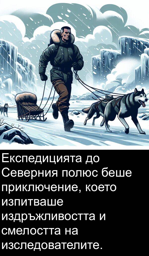 издръжливостта: Експедицията до Северния полюс беше приключение, което изпитваше издръжливостта и смелостта на изследователите.