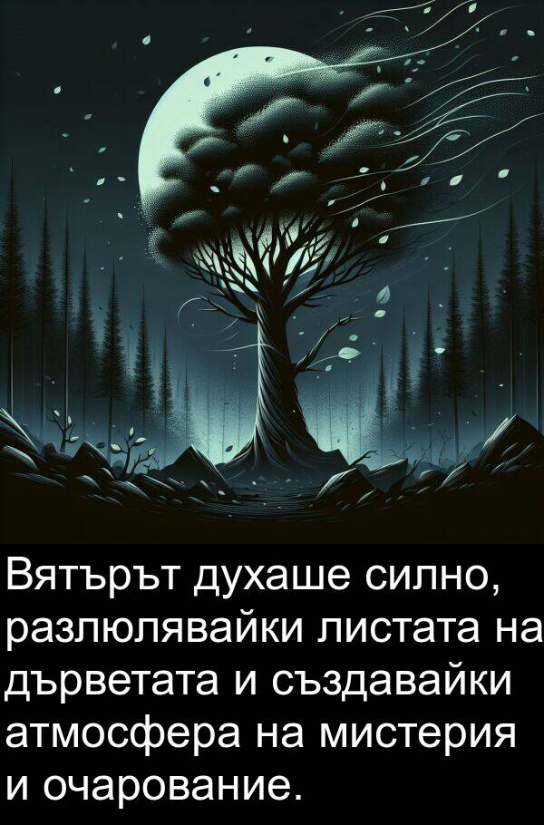 атмосфера: Вятърът духаше силно, разлюлявайки листата на дърветата и създавайки атмосфера на мистерия и очарование.