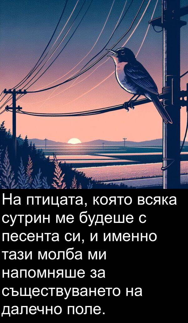 песента: На птицата, която всяка сутрин ме будеше с песента си, и именно тази молба ми напомняше за съществуването на далечно поле.