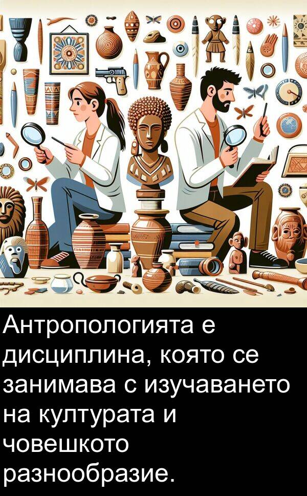 занимава: Антропологията е дисциплина, която се занимава с изучаването на културата и човешкото разнообразие.