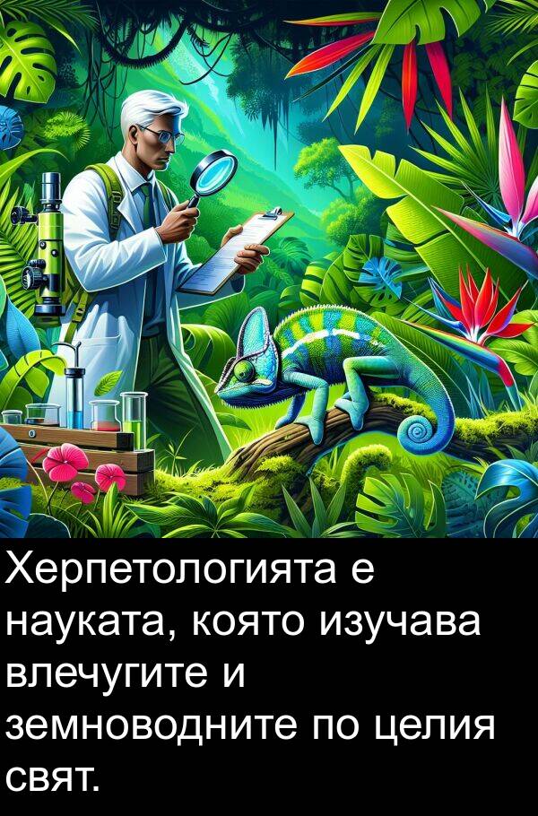 изучава: Херпетологията е науката, която изучава влечугите и земноводните по целия свят.