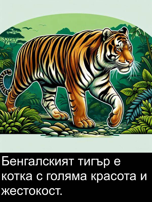 жестокост: Бенгалският тигър е котка с голяма красота и жестокост.