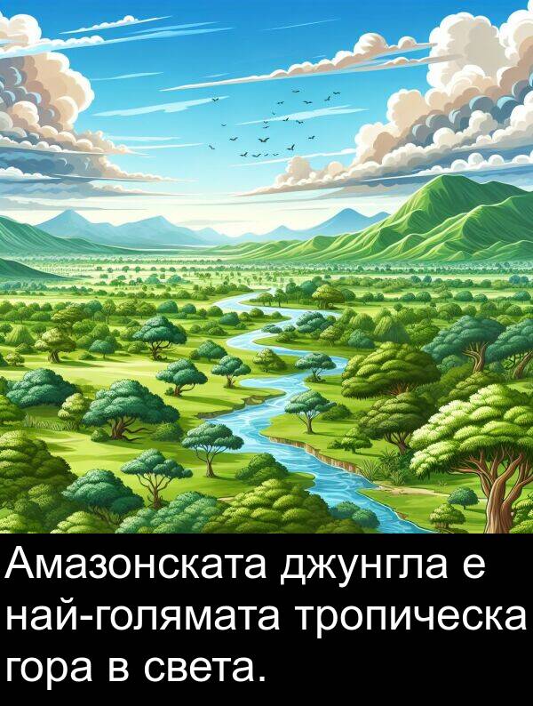 джунгла: Амазонската джунгла е най-голямата тропическа гора в света.