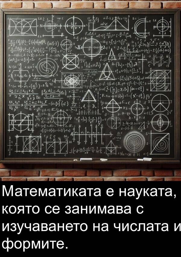 занимава: Математиката е науката, която се занимава с изучаването на числата и формите.