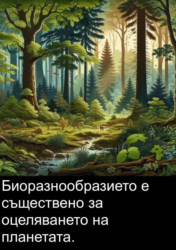 планетата: Биоразнообразието е съществено за оцеляването на планетата.