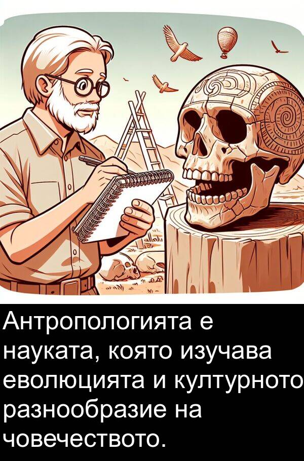 изучава: Антропологията е науката, която изучава еволюцията и културното разнообразие на човечеството.