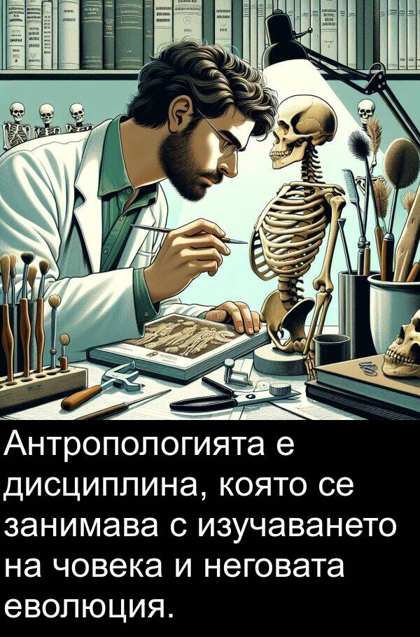 занимава: Антропологията е дисциплина, която се занимава с изучаването на човека и неговата еволюция.