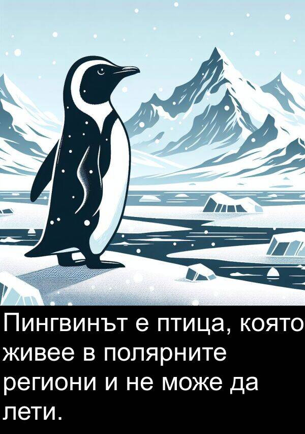 живее: Пингвинът е птица, която живее в полярните региони и не може да лети.