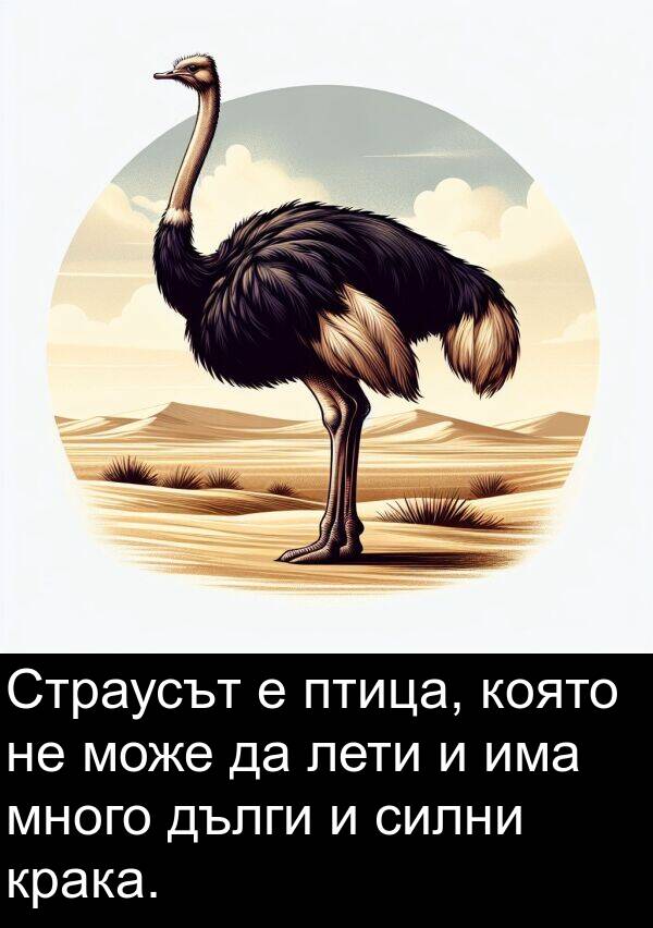 птица: Страусът е птица, която не може да лети и има много дълги и силни крака.