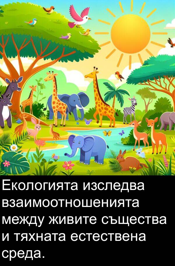 живите: Екологията изследва взаимоотношенията между живите същества и тяхната естествена среда.