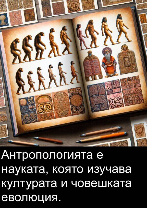 изучава: Антропологията е науката, която изучава културата и човешката еволюция.