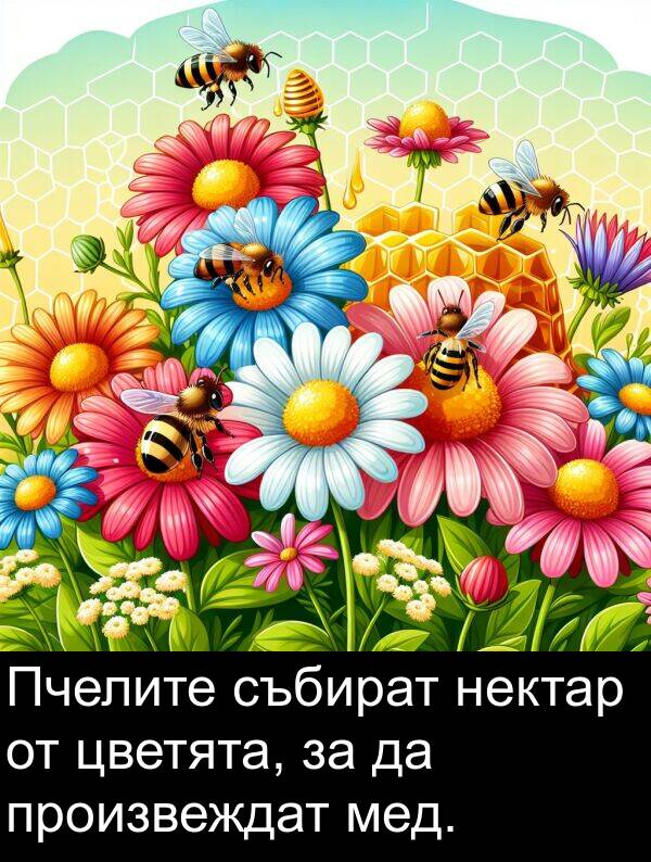 мед: Пчелите събират нектар от цветята, за да произвеждат мед.