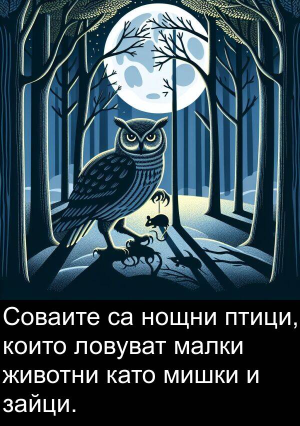 малки: Соваите са нощни птици, които ловуват малки животни като мишки и зайци.