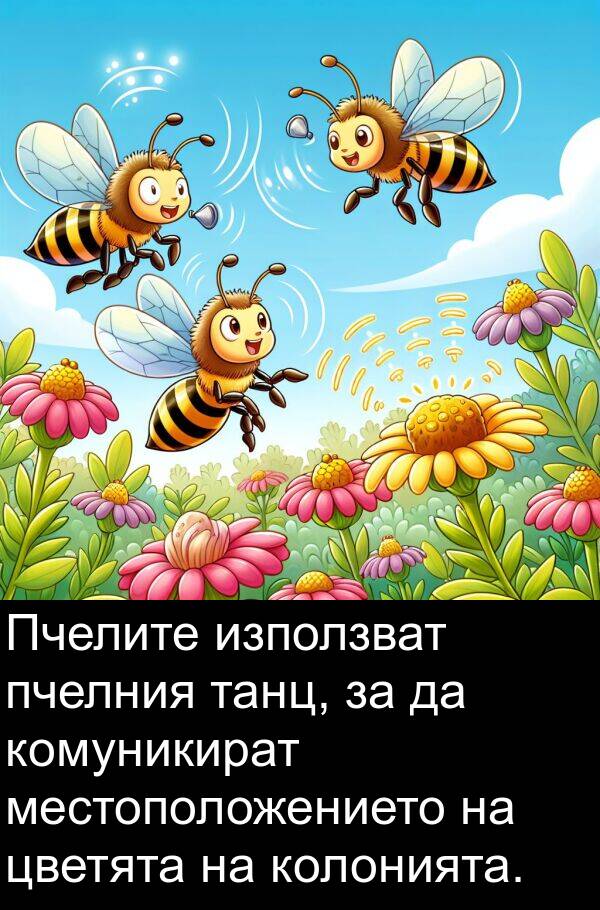 местоположението: Пчелите използват пчелния танц, за да комуникират местоположението на цветята на колонията.