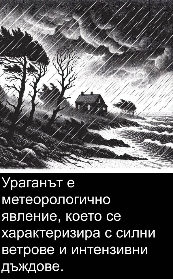 явление: Ураганът е метеорологично явление, което се характеризира с силни ветрове и интензивни дъждове.