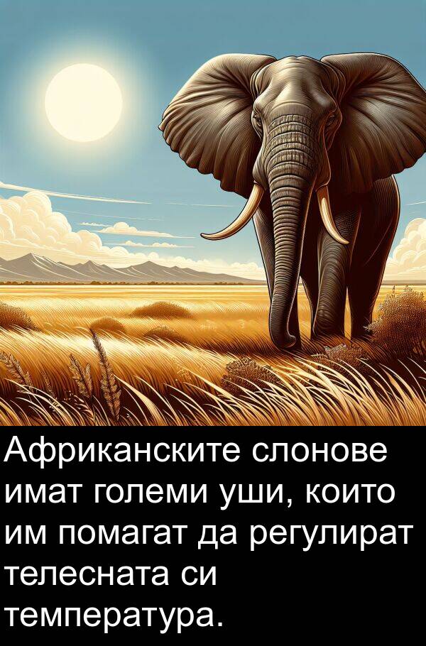 големи: Африканските слонове имат големи уши, които им помагат да регулират телесната си температура.