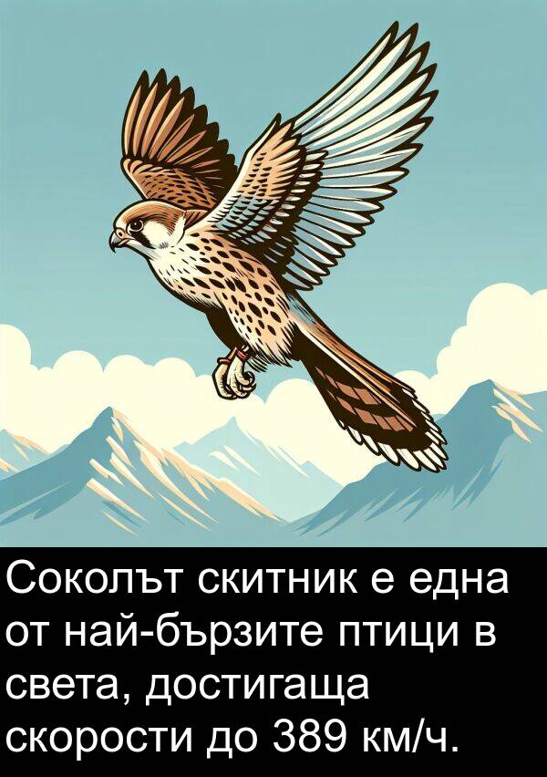 една: Соколът скитник е една от най-бързите птици в света, достигаща скорости до 389 км/ч.