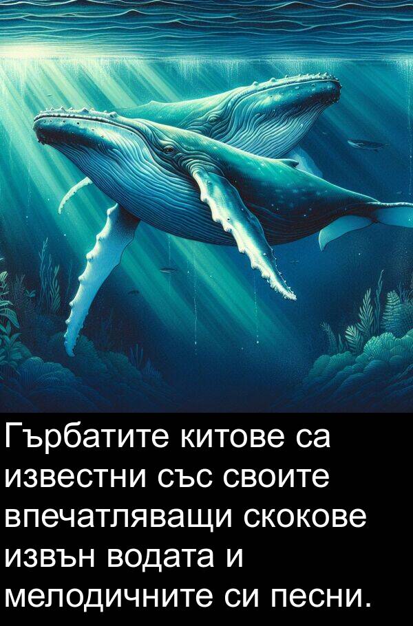 известни: Гърбатите китове са известни със своите впечатляващи скокове извън водата и мелодичните си песни.