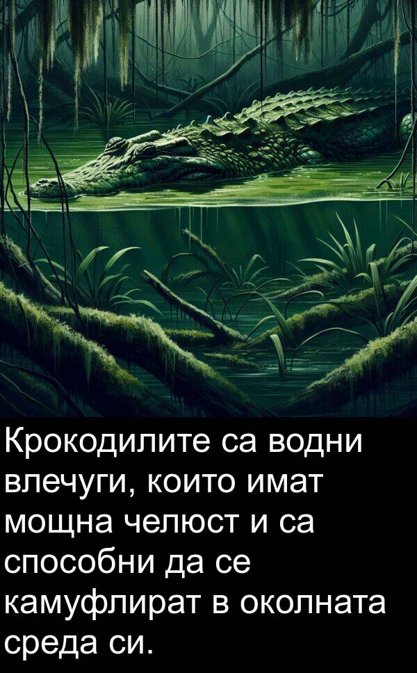 челюст: Крокодилите са водни влечуги, които имат мощна челюст и са способни да се камуфлират в околната среда си.