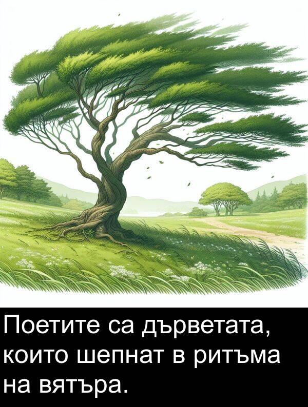 шепнат: Поетите са дърветата, които шепнат в ритъма на вятъра.