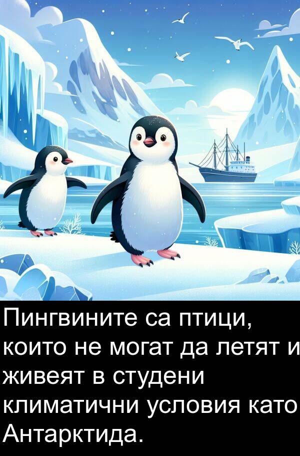 живеят: Пингвините са птици, които не могат да летят и живеят в студени климатични условия като Антарктида.