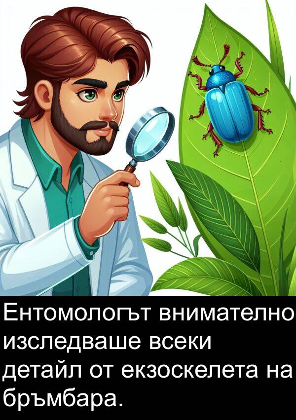 всеки: Ентомологът внимателно изследваше всеки детайл от екзоскелета на бръмбара.