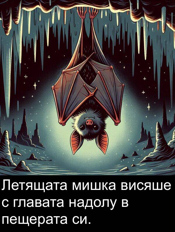 главата: Летящата мишка висяше с главата надолу в пещерата си.