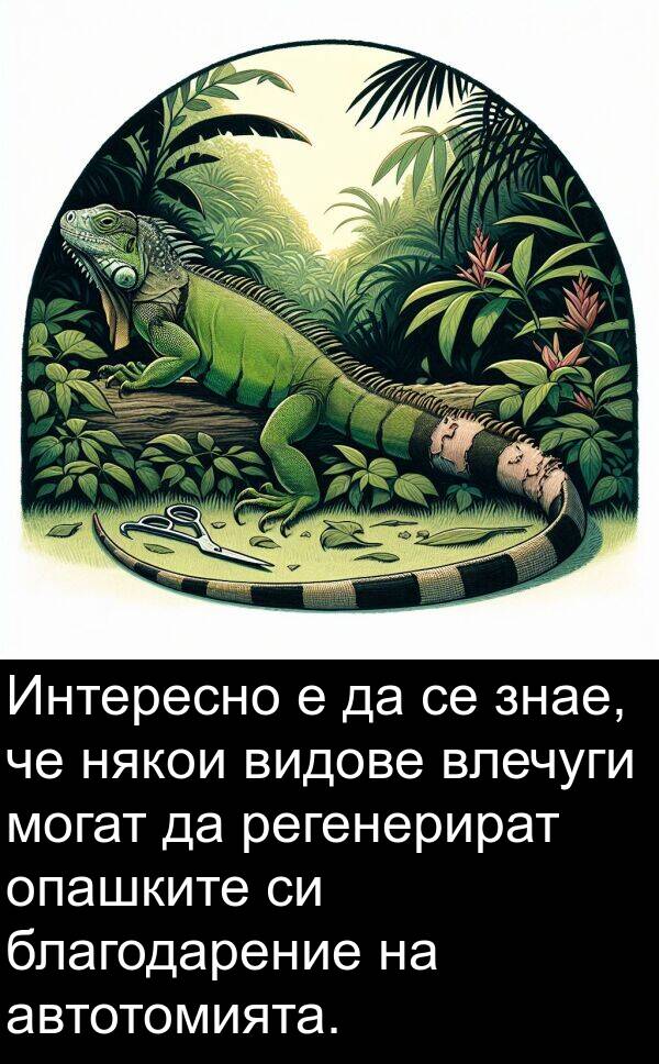 знае: Интересно е да се знае, че някои видове влечуги могат да регенерират опашките си благодарение на автотомията.