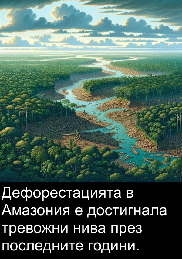 години: Дефорестацията в Амазония е достигнала тревожни нива през последните години.
