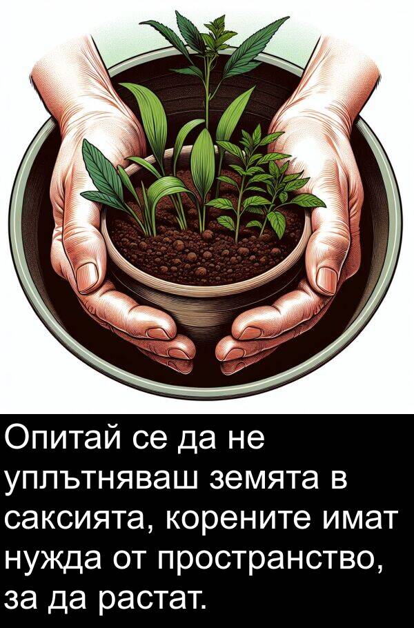 имат: Опитай се да не уплътняваш земята в саксията, корените имат нужда от пространство, за да растат.