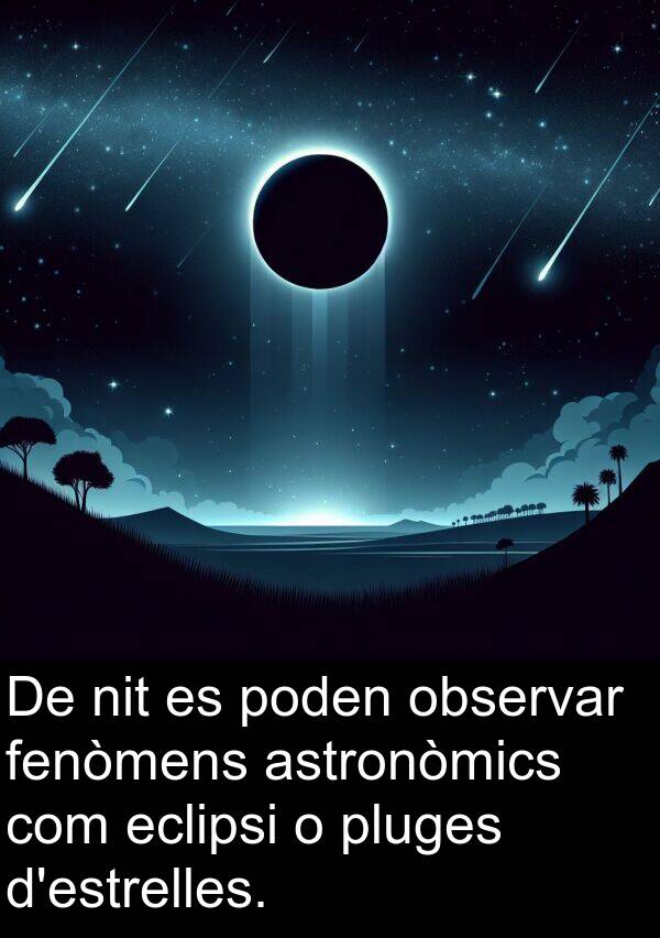 observar: De nit es poden observar fenòmens astronòmics com eclipsi o pluges d'estrelles.