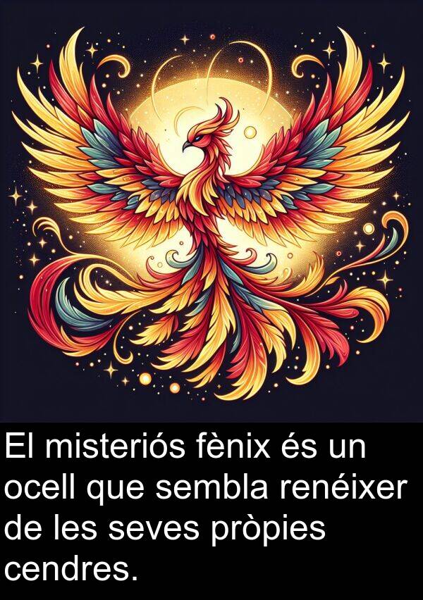 ocell: El misteriós fènix és un ocell que sembla renéixer de les seves pròpies cendres.