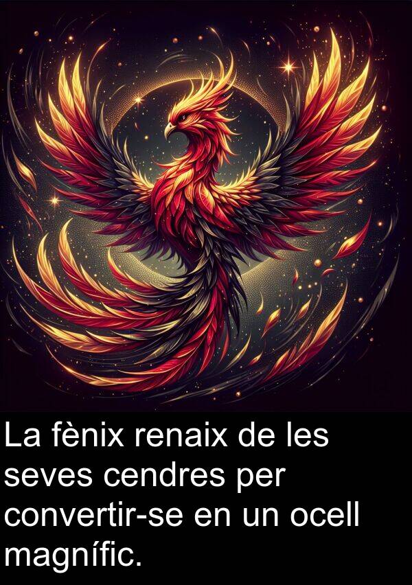 ocell: La fènix renaix de les seves cendres per convertir-se en un ocell magnífic.