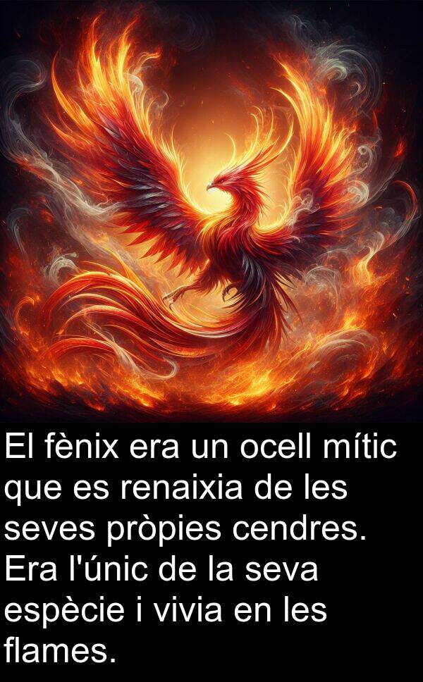 ocell: El fènix era un ocell mític que es renaixia de les seves pròpies cendres. Era l'únic de la seva espècie i vivia en les flames.