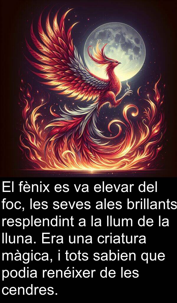 ales: El fènix es va elevar del foc, les seves ales brillants resplendint a la llum de la lluna. Era una criatura màgica, i tots sabien que podia renéixer de les cendres.