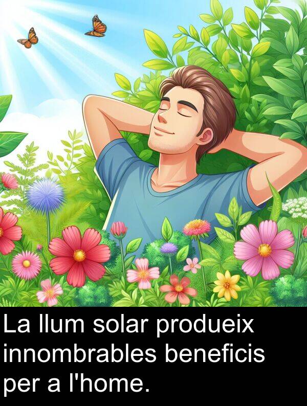 llum: La llum solar produeix innombrables beneficis per a l'home.