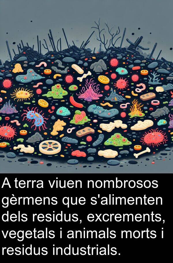 viuen: A terra viuen nombrosos gèrmens que s'alimenten dels residus, excrements, vegetals i animals morts i residus industrials.