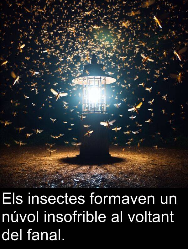 insofrible: Els insectes formaven un núvol insofrible al voltant del fanal.