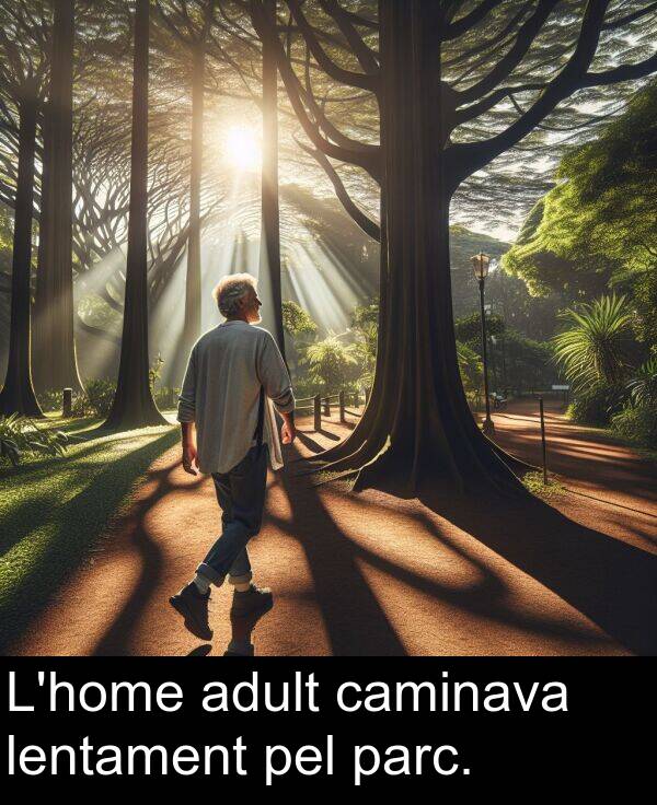 adult: L'home adult caminava lentament pel parc.